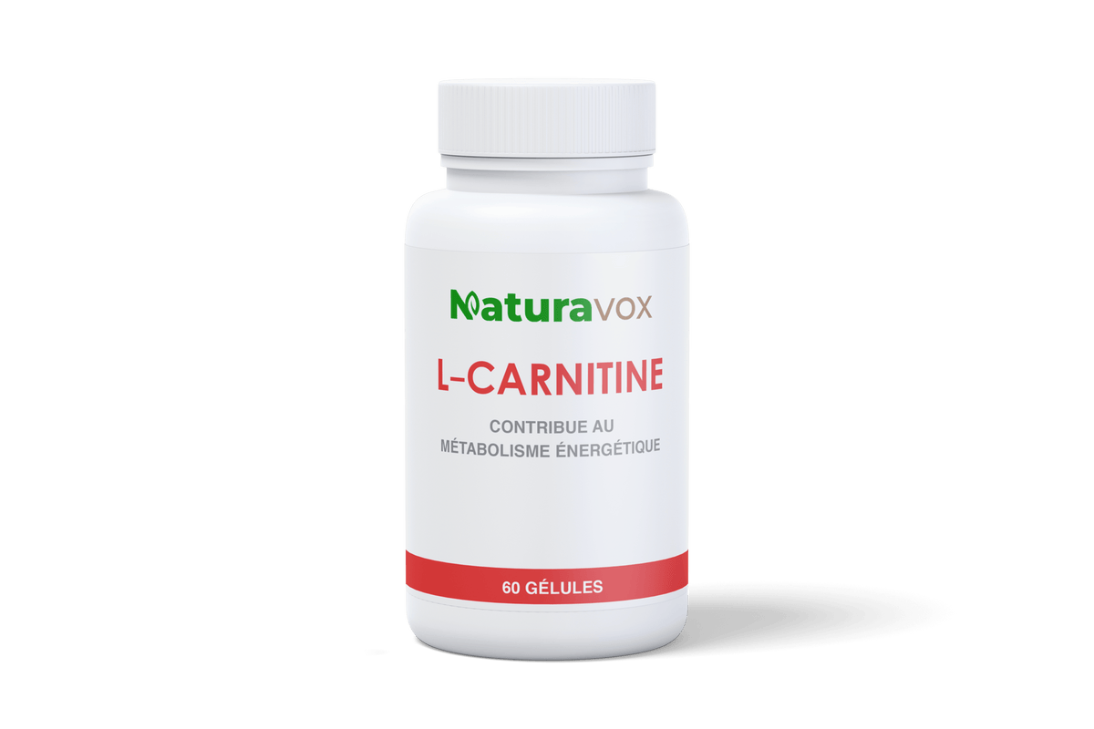 L carnitina